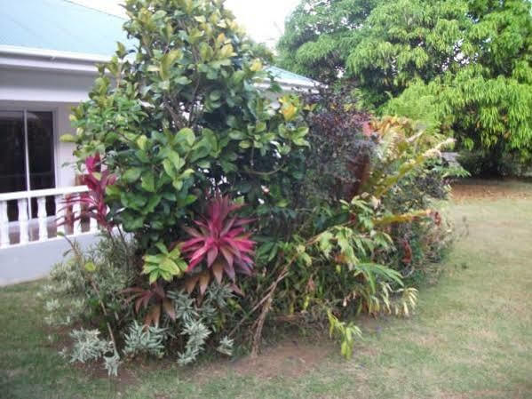 Villa Marl Self Catering Pointe La Rue Exterior foto